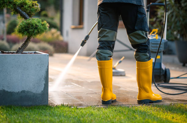 Best Roof Power Washing Services  in Germantown, IL